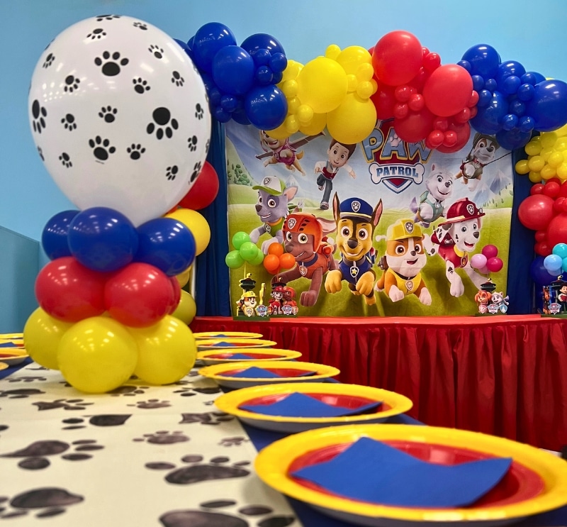 Paw Patrol Deluxe Party Theme Add-on